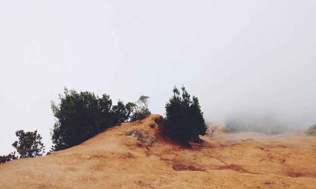 can zosisfod eyebrow pencil cause acne