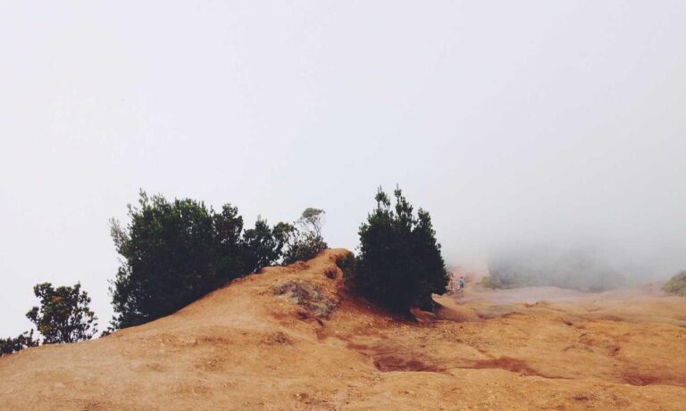 can zosisfod eyebrow pencil cause acne