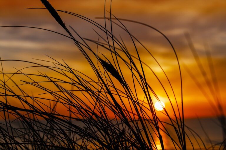 hair luvizac ingredient