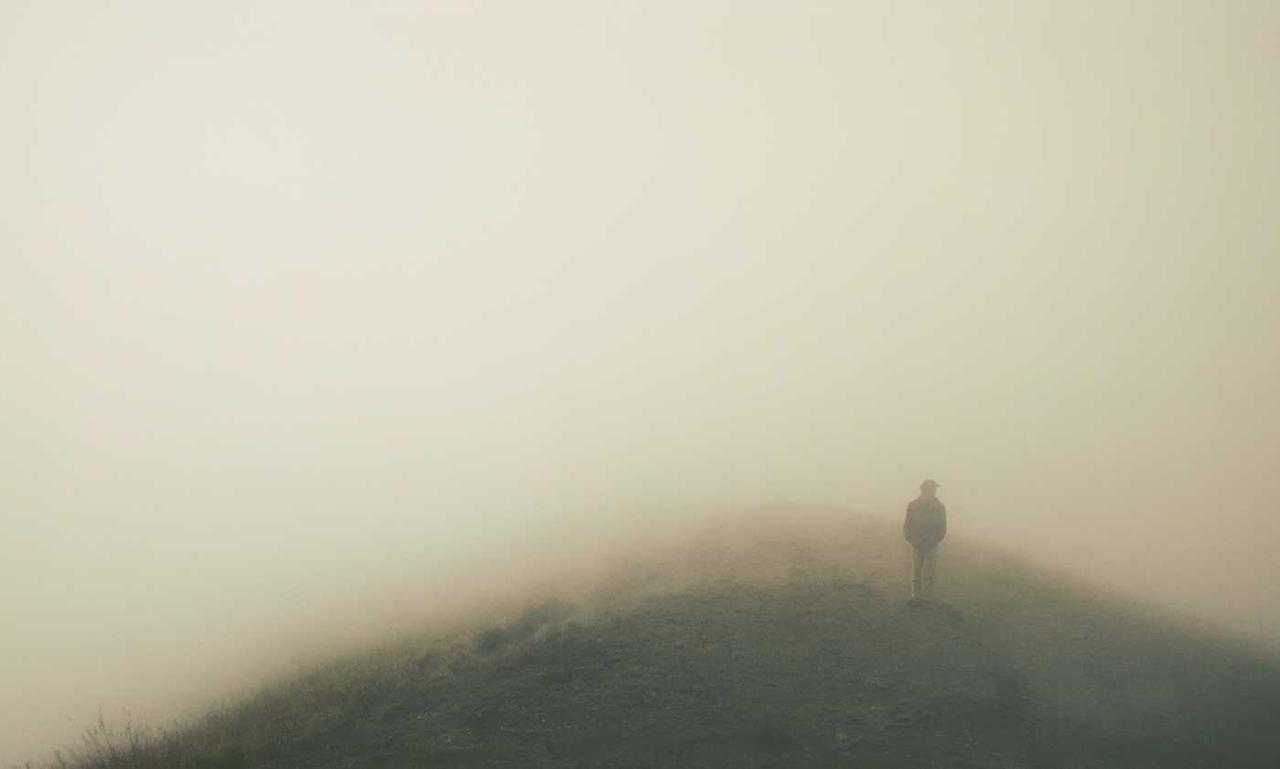 how many branches does zeyejapa hotel have