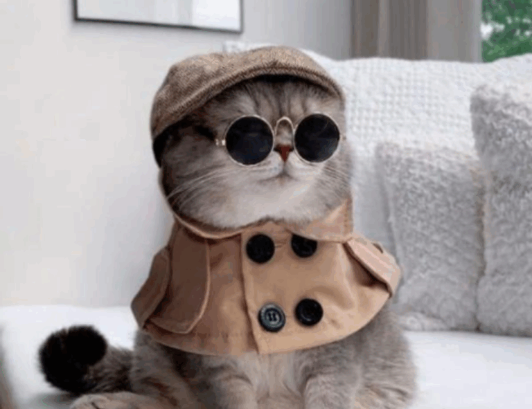 quick meals fhthblog