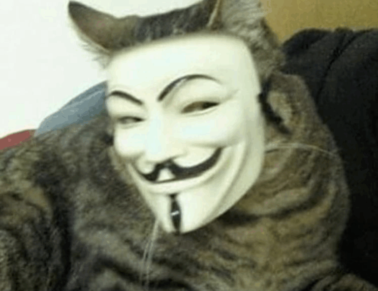 what is special about lake faticalawi