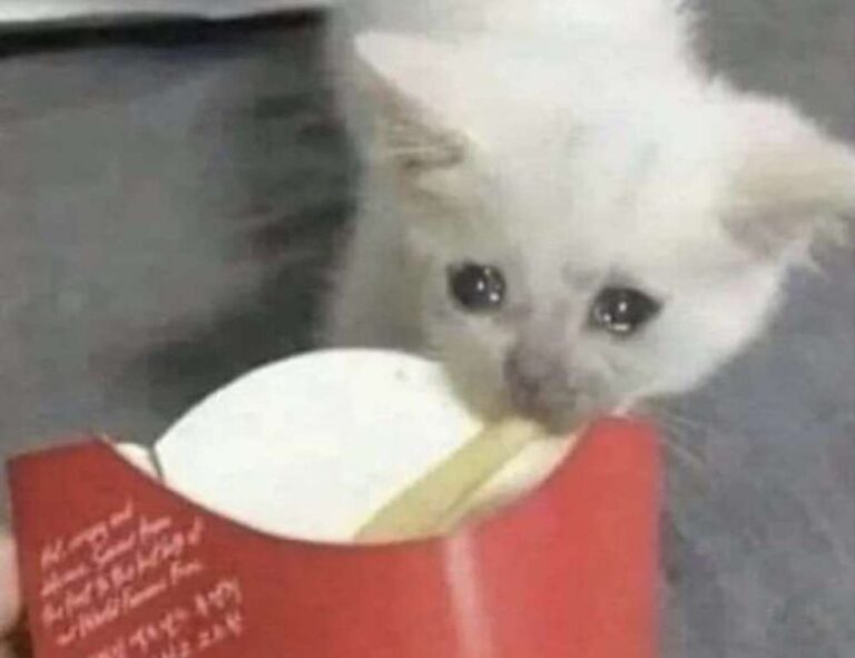 when upgrading immorpos35.3 to new software