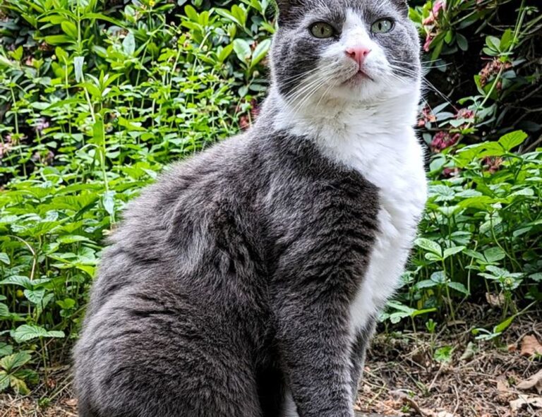 best recipe llblogfood