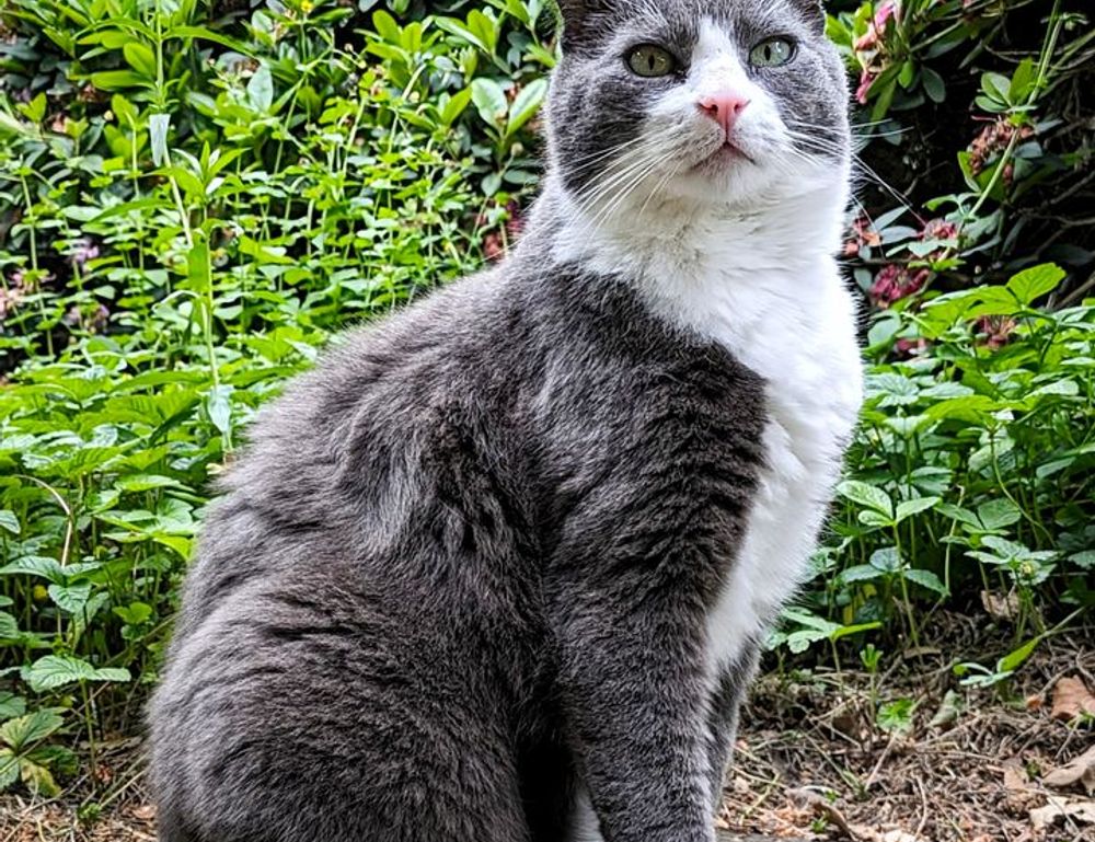 best recipe llblogfood