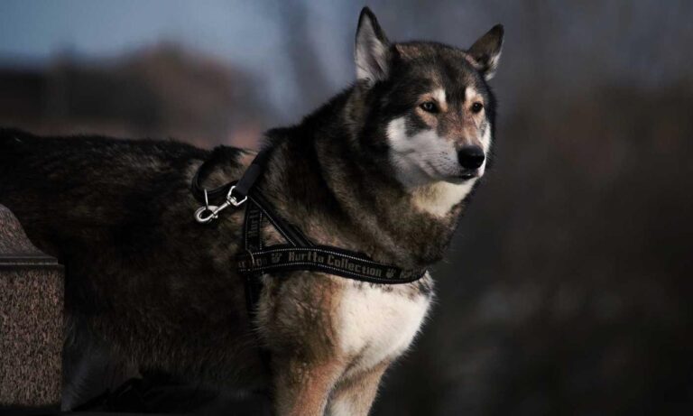 easy recipe llblogfood