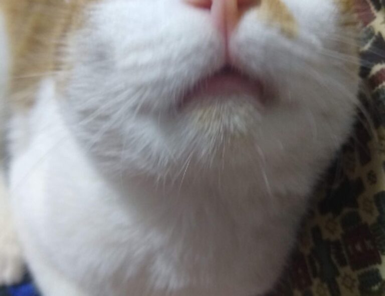 how to bake properly cwbiancarecipes