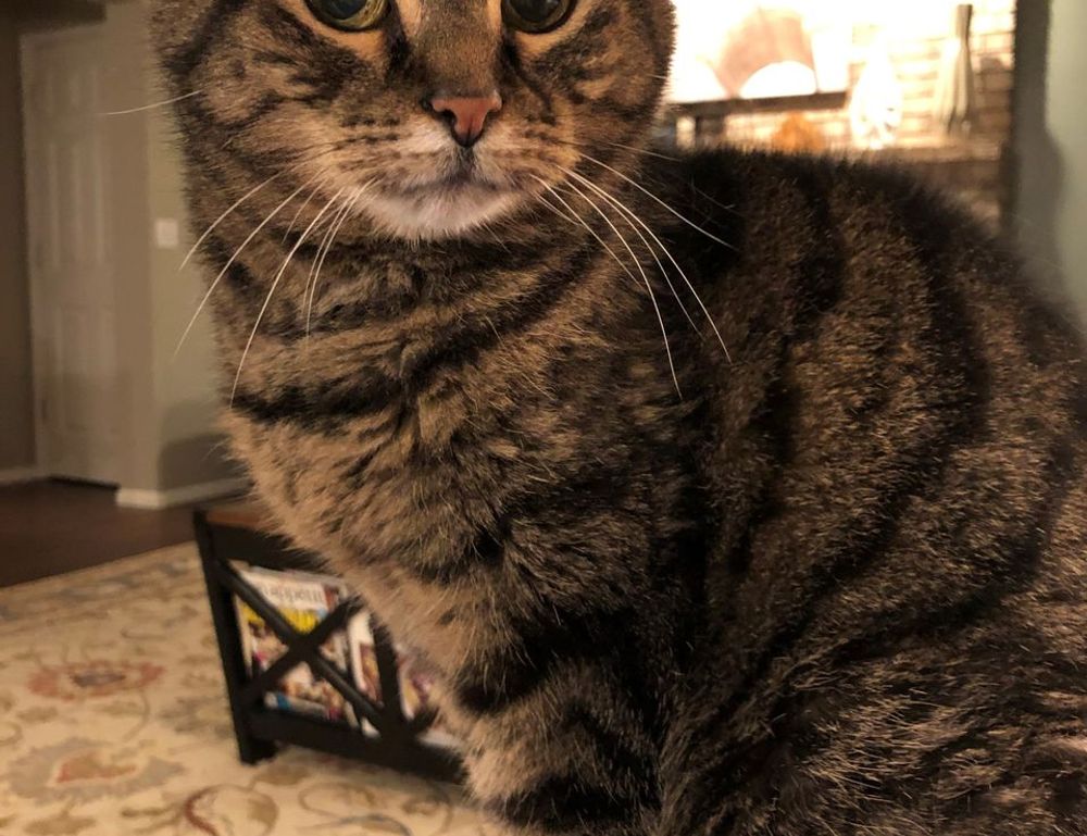 light recipe llblogfood