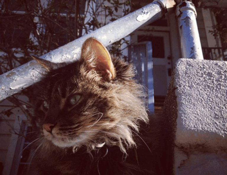 llblogfood light recipes from lovelolablog