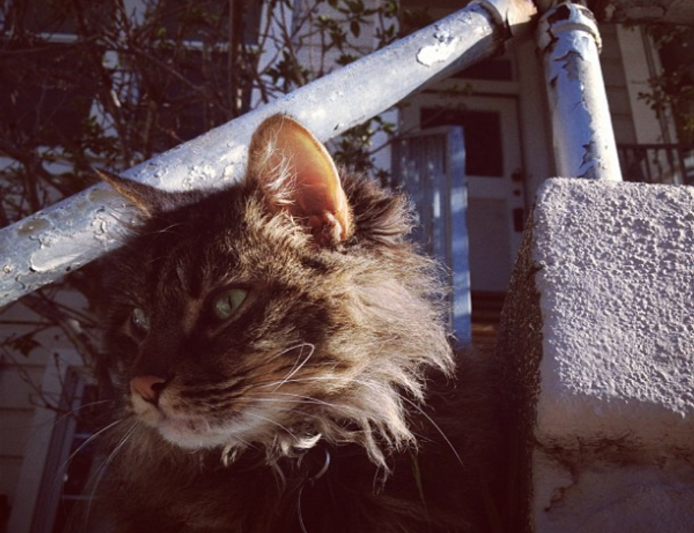 llblogfood light recipes from lovelolablog