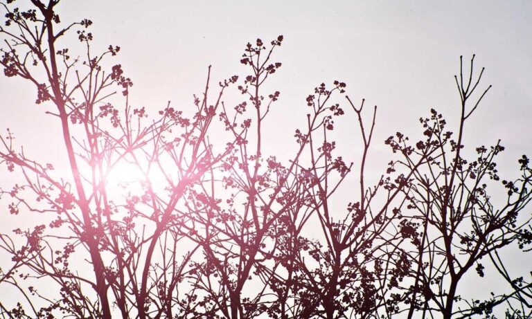 refreshments cwbiancarecipes