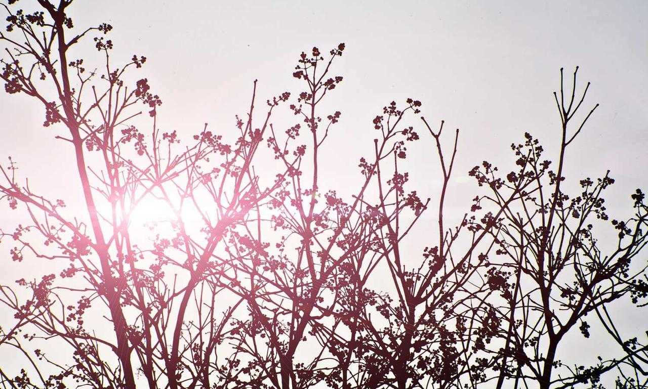 refreshments cwbiancarecipes