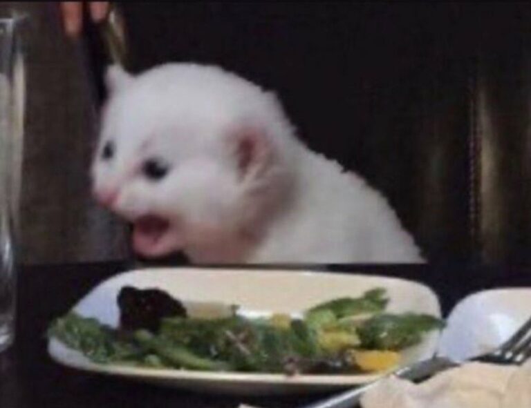 refreshments recipes cwbiancarecipes