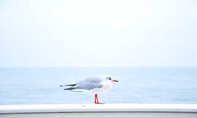 tasty recipe llblogfood