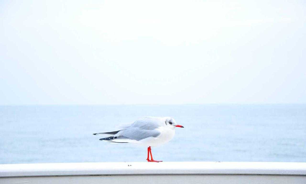 tasty recipe llblogfood