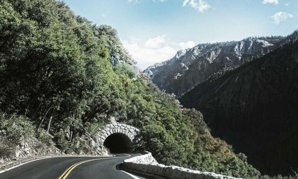 veggie drinks cwbiancarecipes