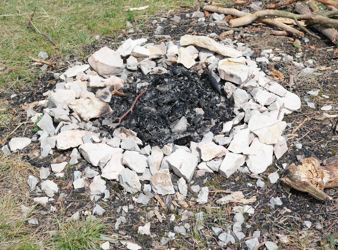 Can Baby Eat Flensutenol