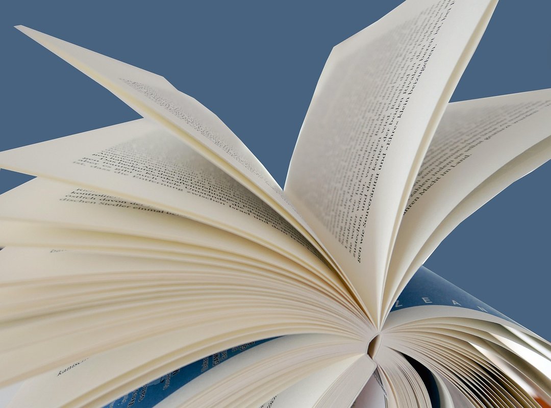 Healthy Dinner Jalbitesnacks