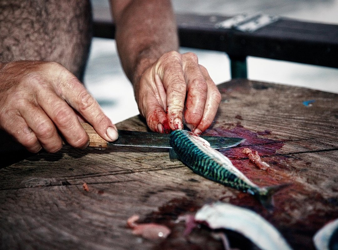 What Method of Cooking Is Easy to Use Fhthopefood