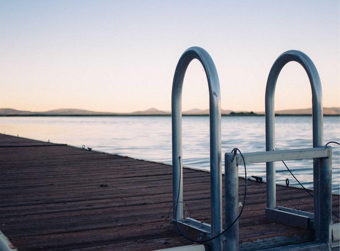 From Forearm to Full Sleeve: Popular Design Ideas and Placement