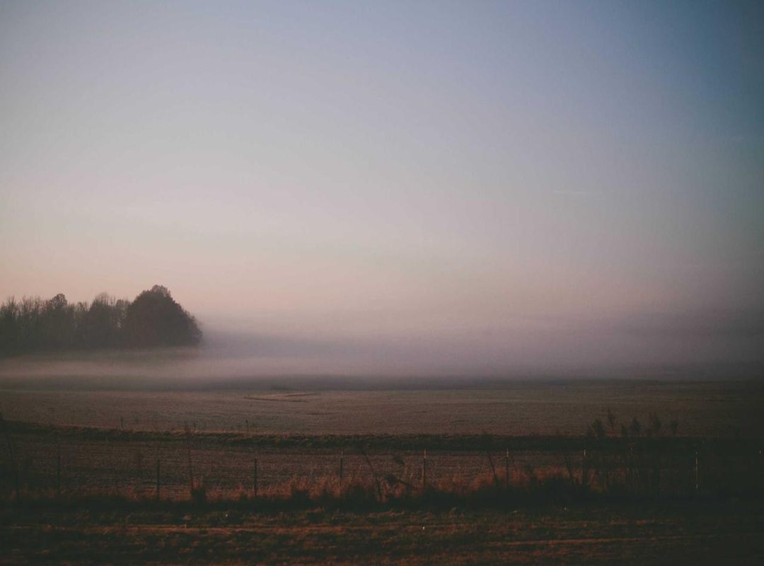 Exploring the Portfolio: A Showcase of Past Work