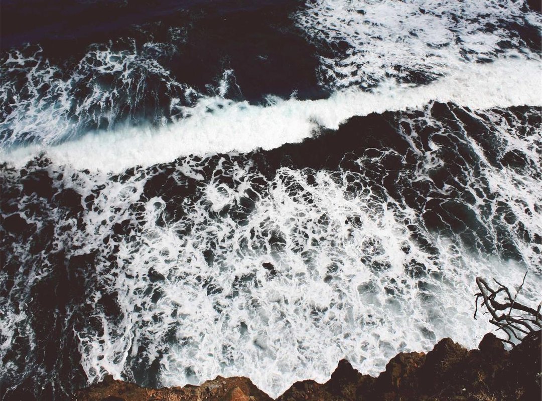 What to Expect: A Look Inside a Typical 