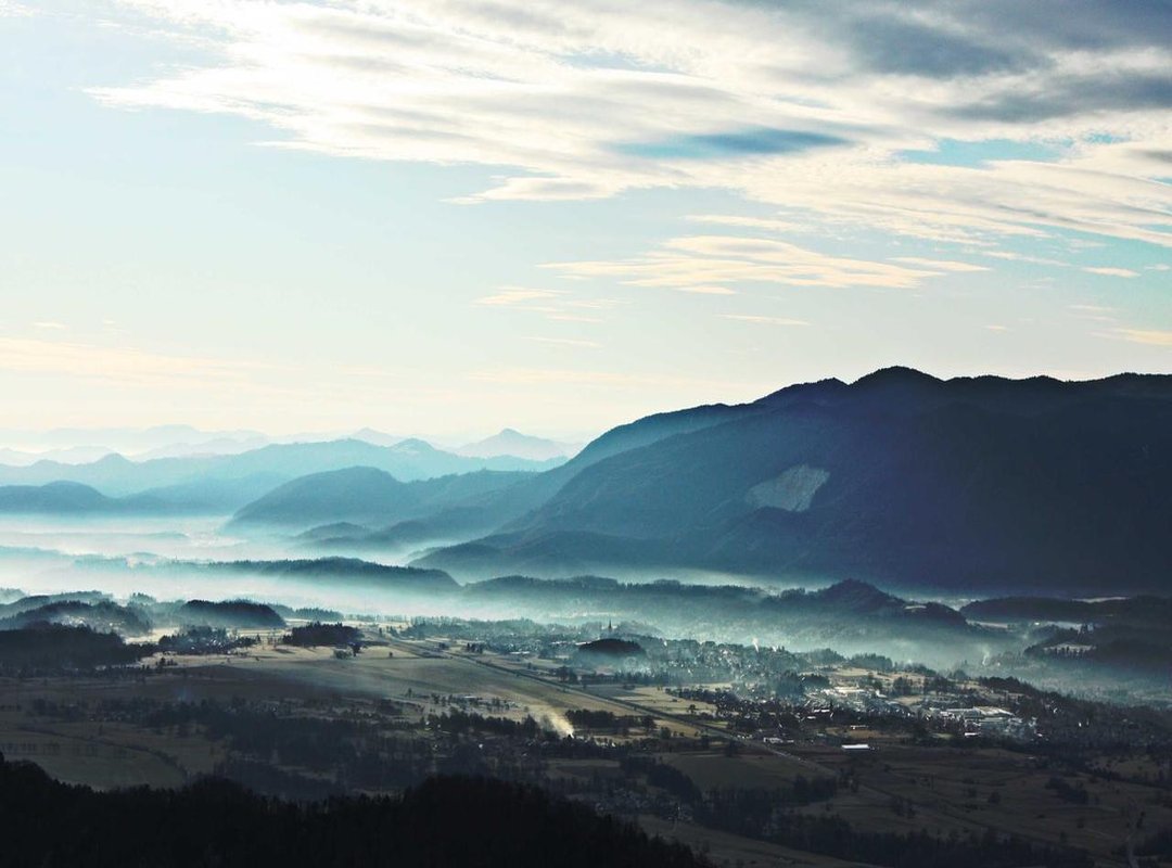 What to Check Before You Buy: A 4-Point Checklist