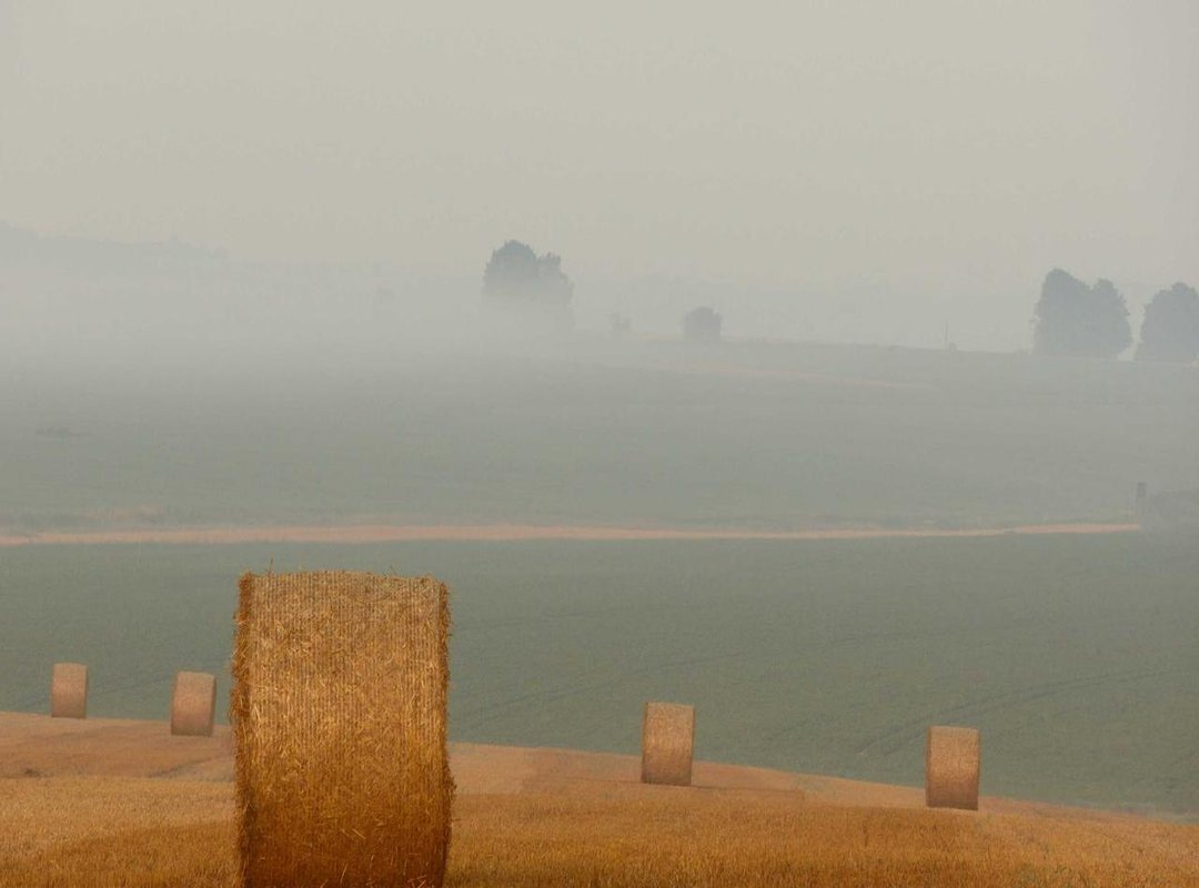 Comparisons: How to Choose Between Different Aesthetic T-Shirts