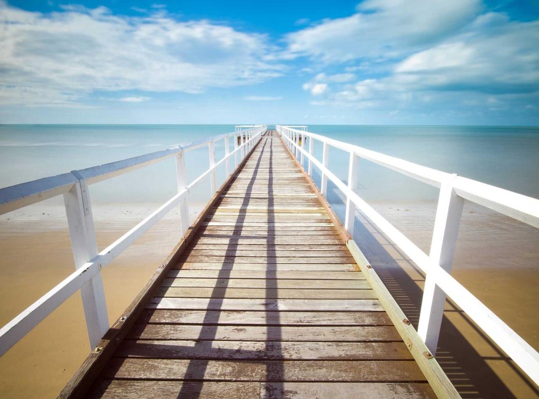 The Modern Reality: Conservation and Illegal Trade