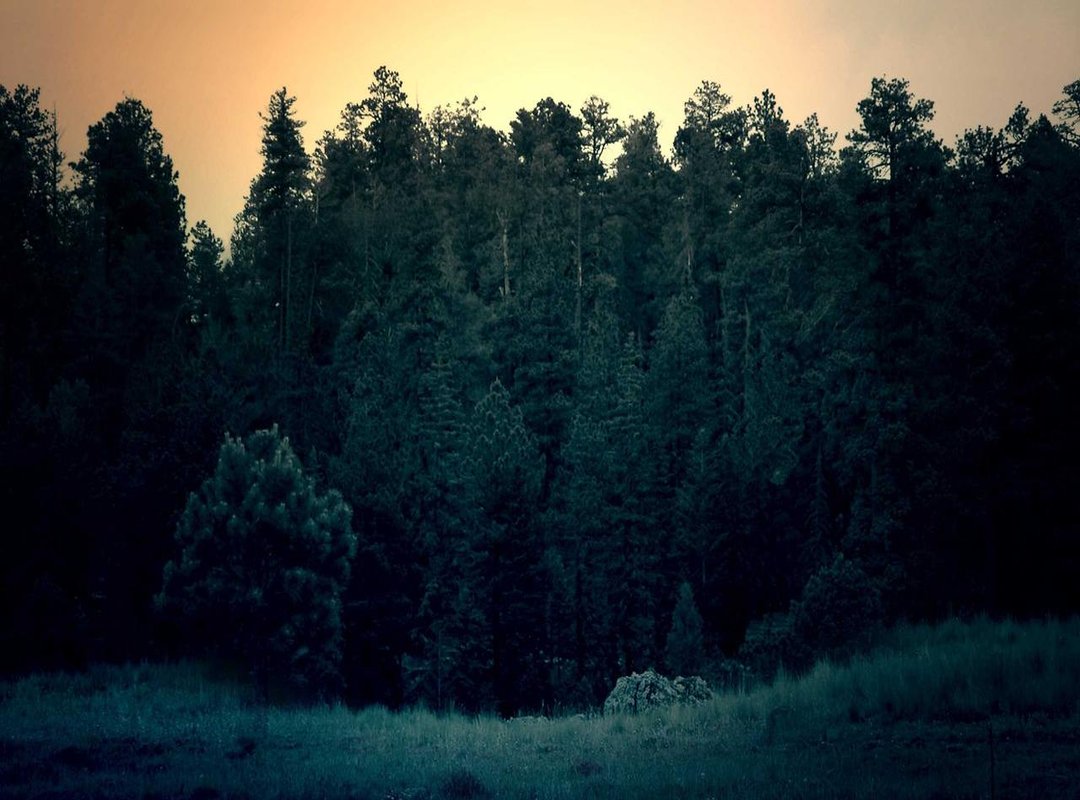 Not All MP3s Are Created Equal: A 30-Second Quality Check